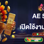 aesexy-เปิดใช้งานระบบใหม่-aesexy