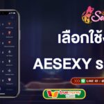 เลือกใช้งานที่-aesexy-ให้บริการระบบออโต้-aesexy