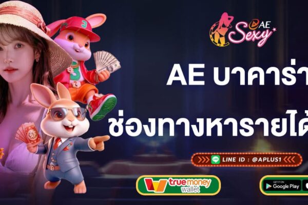 ae บาคาร่า ช่องทางหารายได้เสริม